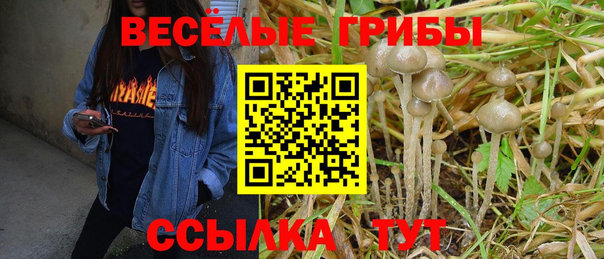 Галлюциногенные грибы Psilocybe Воронеж